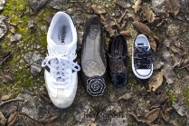 family-picnic-photos-9