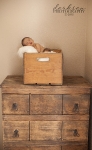 newborn-baby-boy-6