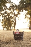 family-photography-outdoor-5