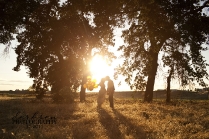 staged-anniversary-photo-shoot-13