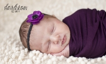 baby-photographer-5