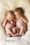 twin-babies-2