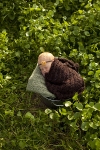 newborn-baby-ideas-2