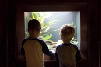 pictures-at-the-zoo-1
