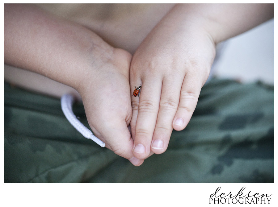 edit-IMG_6566