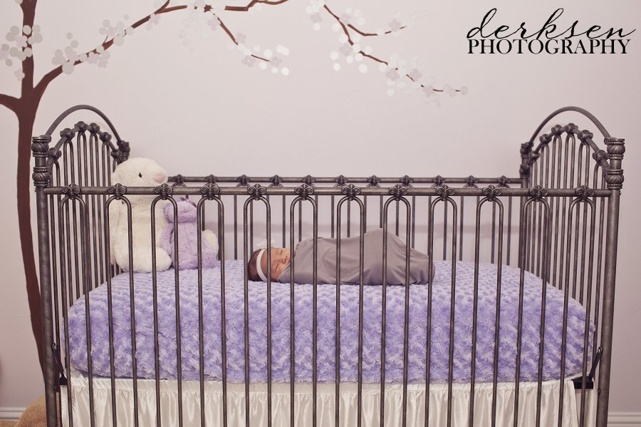 newborn photography nursery fresno (7)