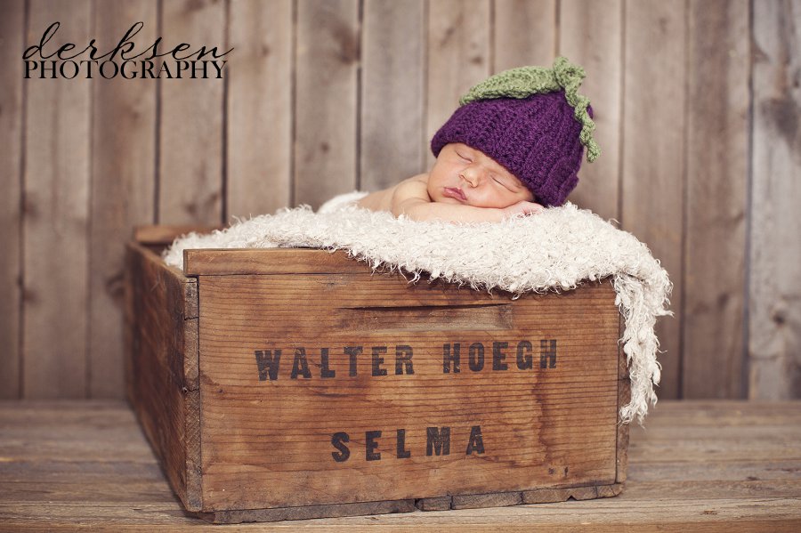 newborn photography fresno (18)