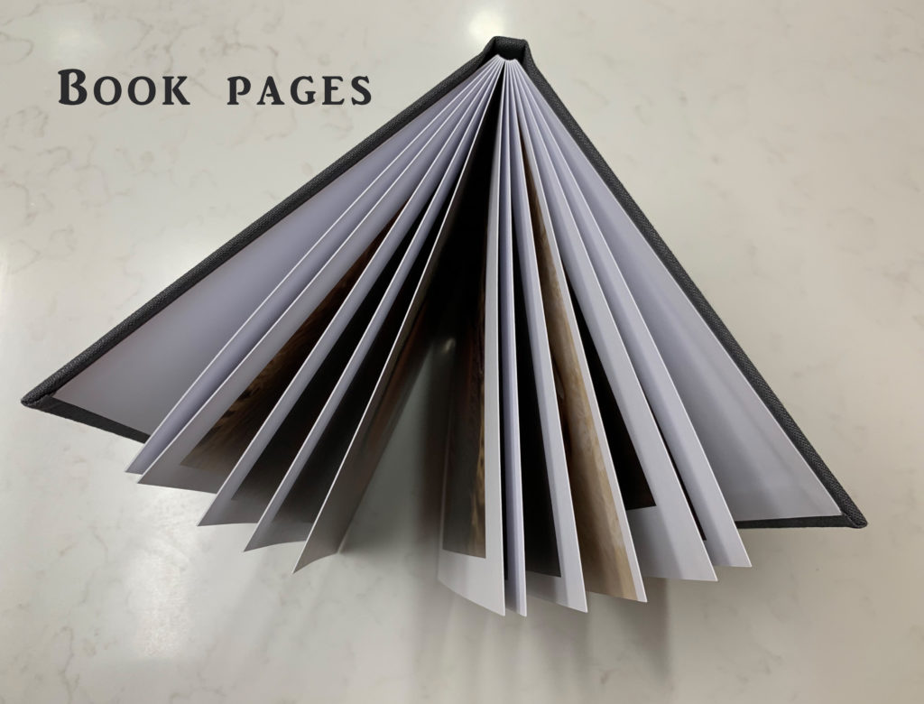 book pages