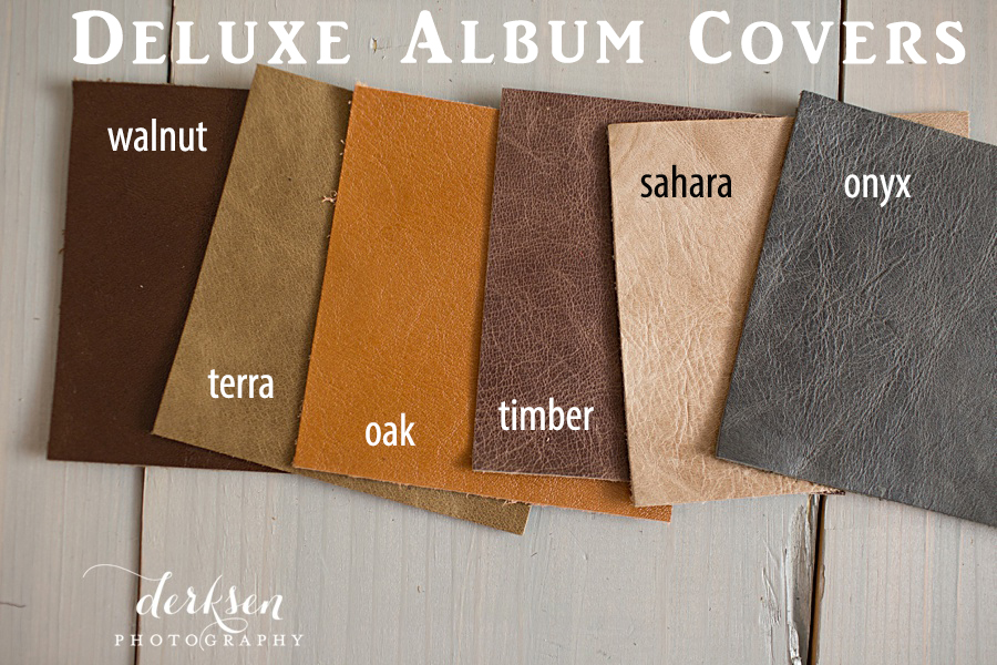 leather albums-02 w text copy