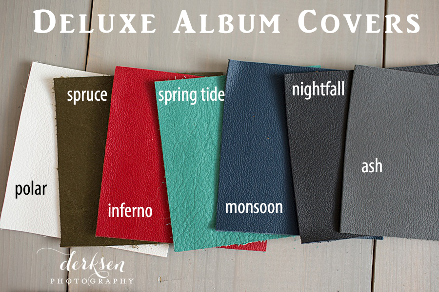 leather albums-03 w text copy