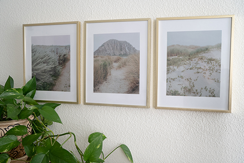 fine art photography framed decor for home fine art photography framed decor for home